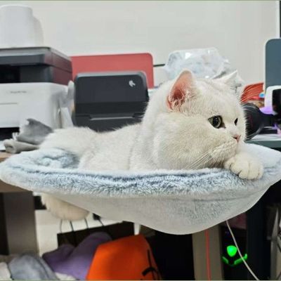 Hamac Chat BUREAUCAT Poste Observation Privilégié