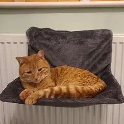 Hamac Radiateur Chat HOTCAT Noir