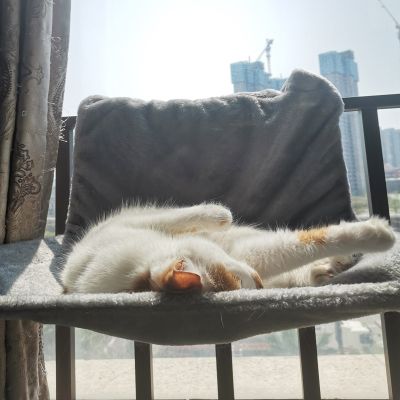 Hamac Radiateur Chat HOTCAT Profiter Chaleur Radiateur ou Soleil