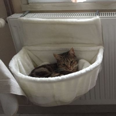 Hamac pour Chat COZYPET Blanc