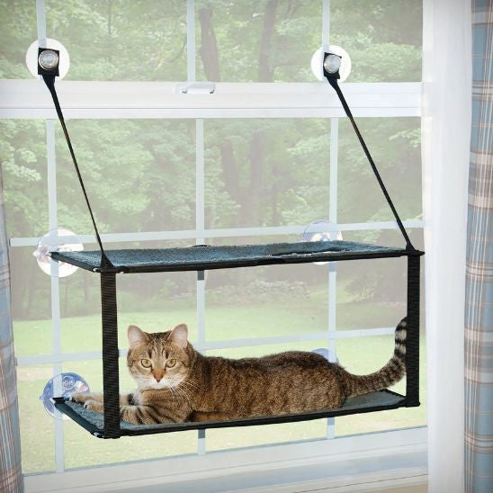 Hamac pour chat fenêtre Double Palier Confort Panoramique