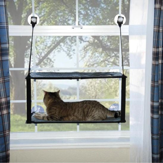 Hamac pour chat fenêtre Double Palier Regard sur L'Extérieur