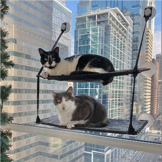 Hamac pour chat fenêtre Double Palier Ventouse Support Optimal