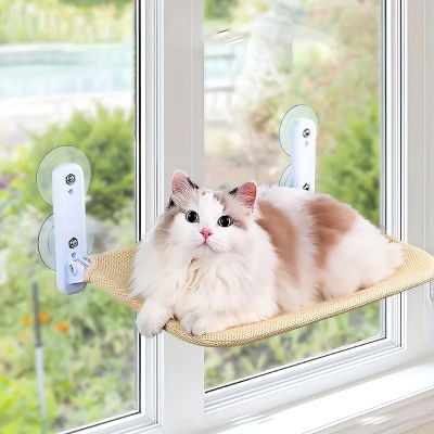 Hamac pour chat fenĂȘtre RĂ©pond aux Besoins Instinctifs