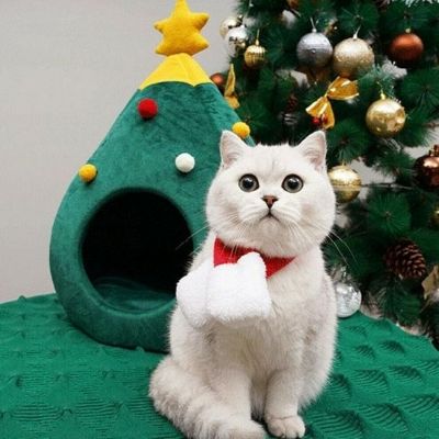 Niche chat CHRISTMASCAT™ Cocon Douillet Permet Participer Festivité Sereinement