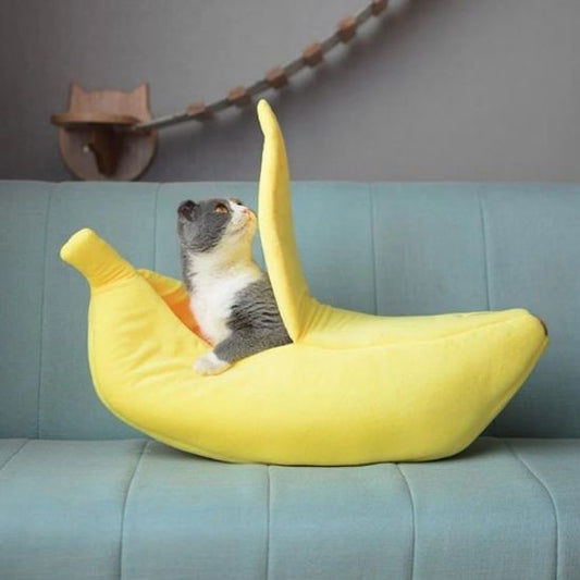 Chat panier Banane Lieu de Détente Idéal