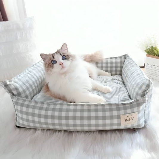 Chat panier Carotté Détente Élégante
