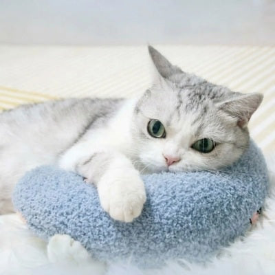 Coussin Chat En Croissant Cocon Douillet Rappelant Douceur Pelage Maternel