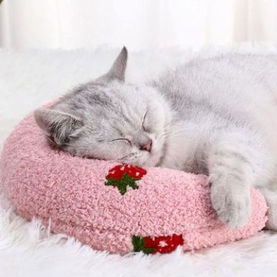 Coussin Chat En Croissant Soutient Suprême