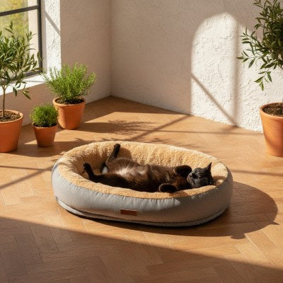 Coussin à Chat Confort Spacieux Cocon Douillet Favorisant Sommeil Profond Réparateur