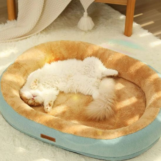Coussin à Chat Confort Spacieux Couleur Vert