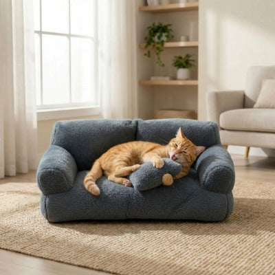 Coussin à Chat Cozy Canapé avec Petit Coussin Parfait pour Session de Jeu Paisible