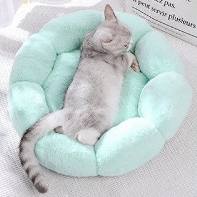 Coussin chat Douce Fleur Refuge Apaisant Poste Observation Douillet Chaleureux