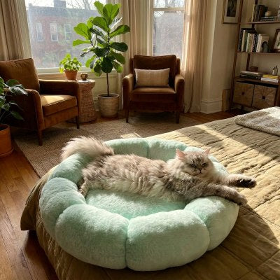 Coussin chat Douce Fleur Refuge Spacieux Procurant Douceur Confortable pour Sommeil Réparateur