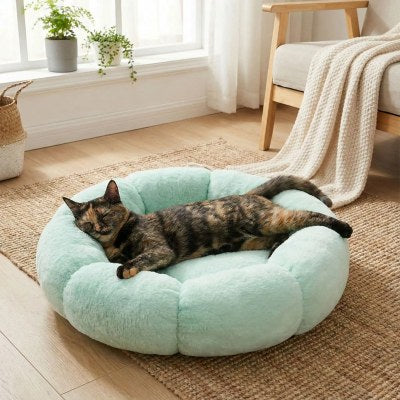 Coussin chat Douce Fleur Sommeil Paisible avec Soutient Ergonomique Besoins Comblés