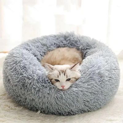 Coussin pour Chat Doux Beignet Confort Douillet