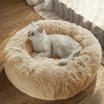 Coussin pour Chat Doux Beignet Douceur Invitante