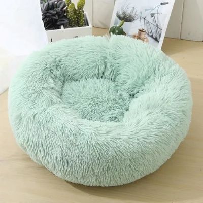 Coussin pour Chat Doux Beignet Vert