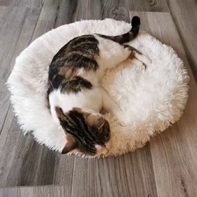 Coussin pour chat Tapis Pelucheux Douceur Spacieuse