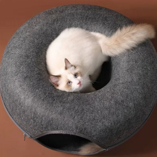 Coussin pour chat Tunnel Beignet Poste Observation