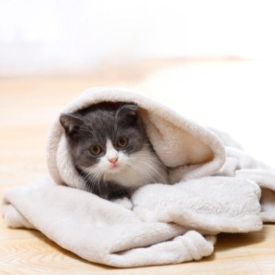 Couverture pour chat douce | Câlin Félin