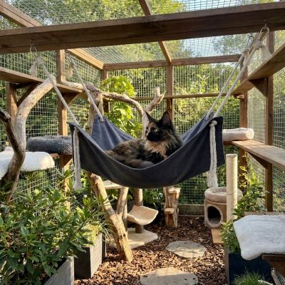 Hamac Chat ACCROCHEMOI™ Refuge Confortable Parfait pour Enclos Extérieur