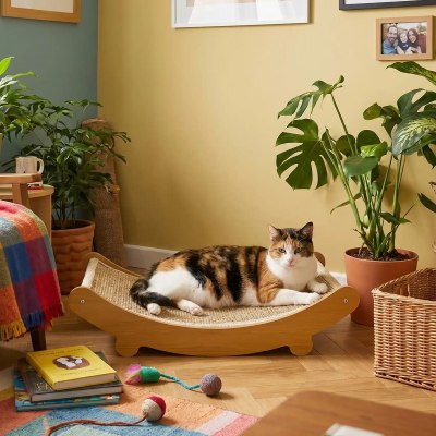 Hamac Chat Griffoir Apaisant intégré dans un intérieur chaleureux avec chat confortablement installé dans son espace de repos