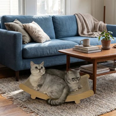 Hamac Chat Griffoir Apaisant intégré dans un décor familial chaleureux, chats détendus sur leur couchage