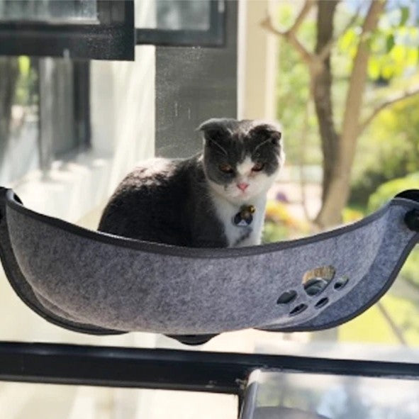 Hamac chat fenêtre Cocon Douillet Regard Nouveau sur Environnement