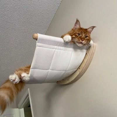 Hamac pour chat Confort Mural Refuge en Hauteur Satisfaisant Instinct Observation Naturel