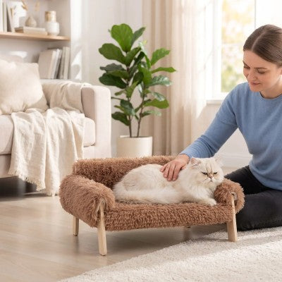 Propriétaire caressant son chat confortablement installé sur le Lit pour Chat FLUFFY™ Canapé dans un salon lumineux.