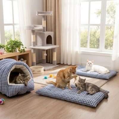 Quatre chats profitent du lit pour chat Grotte Moelleuse transformé en une grotte sécurisante et deux tapis douillets dans un salon lumineux.
