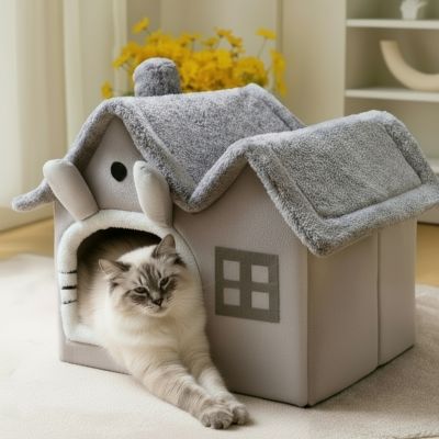 Maison chat Coquette Bonheur Refuge Personnel Répond Besoin Instinctif