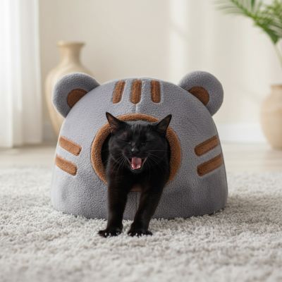 Niche Chat Ourson Douillet Sommeil Réparateur Sieste Revigorante Bien-Être Comblé