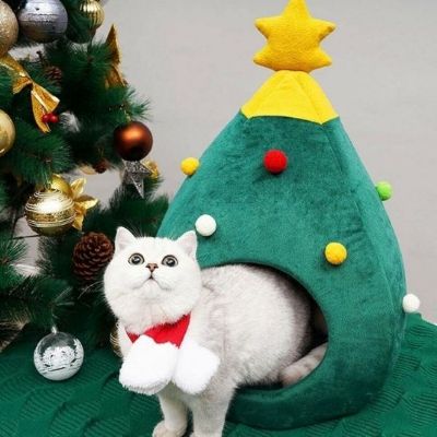 Niche chat CHRISTMASCAT™ Procure Sentiment Sécurité Pendant Festivité
