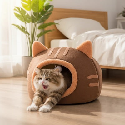 Niche chat Chaton Douillet Havre de Paix Personnel Parfait pour Sieste Paisible Revigorante
