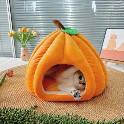 Niche chat Potiron Moelleux Havre de Paix Ludique Poste Observation Cachette Session Jeu Paisible