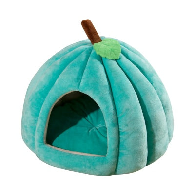 Niche chat Potiron Moelleux Verte Cyan