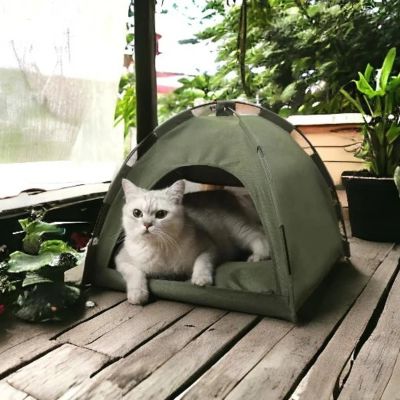 Niche pour chat Aventure Maison Compagnon Idéal pour Félins Voyageurs