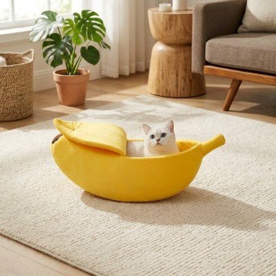 Chat installé et détendu dans le panier Banane Douillette placé dans un salon lumineux.