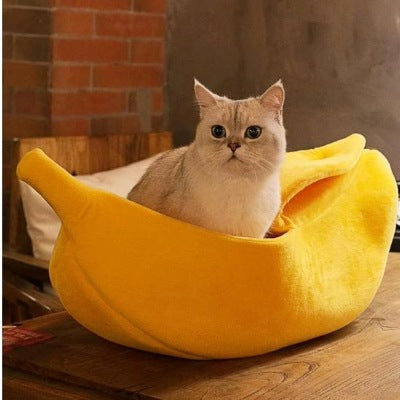 Chat installé dans le panier Banane Douillette qui observe son environnement tranquillement.