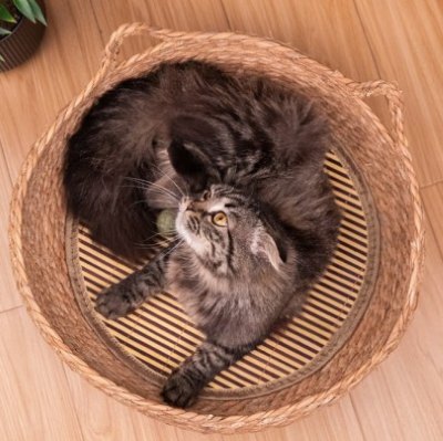 Panier chat osier Griffoir Douillet Cocon Pratique aux Matériaux Naturels Écologique