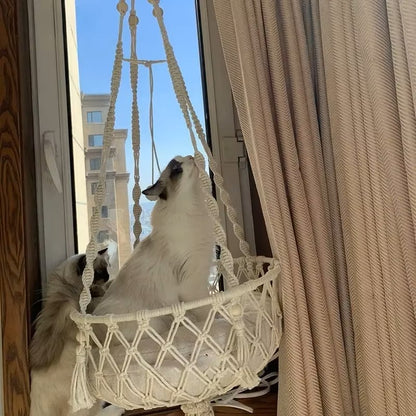 Panier pour chat Stylé Suspendu Polyvalence Repos Jeu Observation