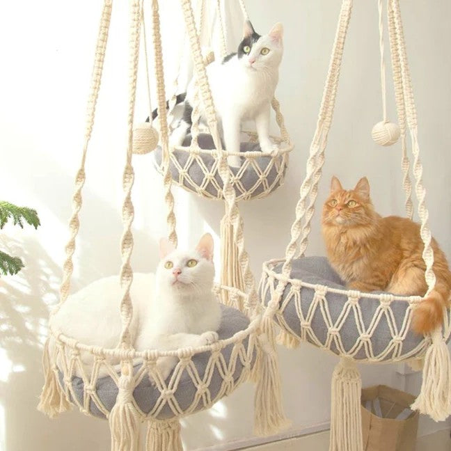 Panier pour chat Stylé Suspendu Poste D'Observation Aérien