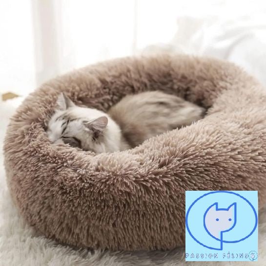 Coussin à Chat | RonDoux - Passion Félins