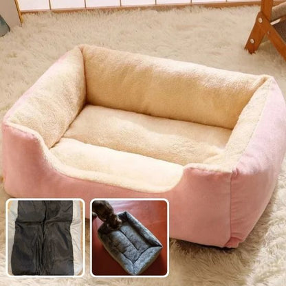 Coussin pour chat | Recta Doux - Passion Félins