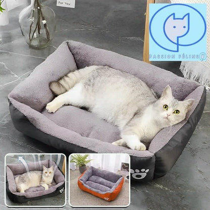 Coussin pour chat | Tout Moelleux - Passion Félins