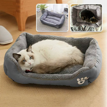 Coussin pour chat | Tout Moelleux - Passion Félins