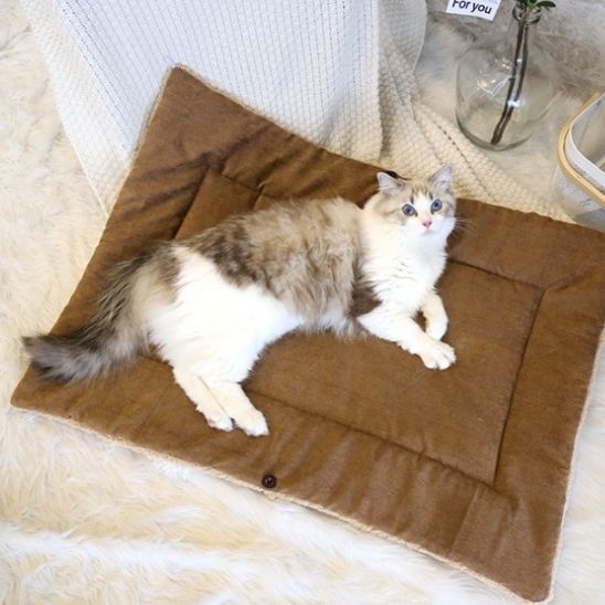 lit chat Tapis Cocon Spacieux Confortable