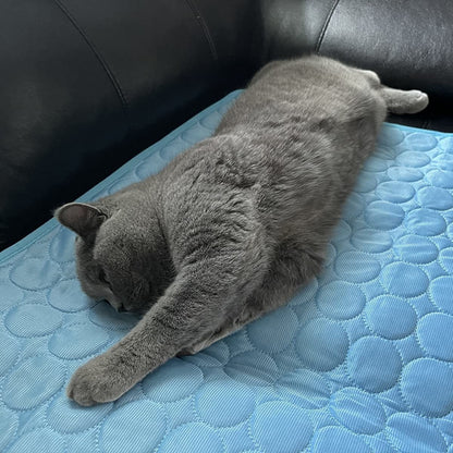 tapis rafraîchissant chat Détente Rafraîchissante